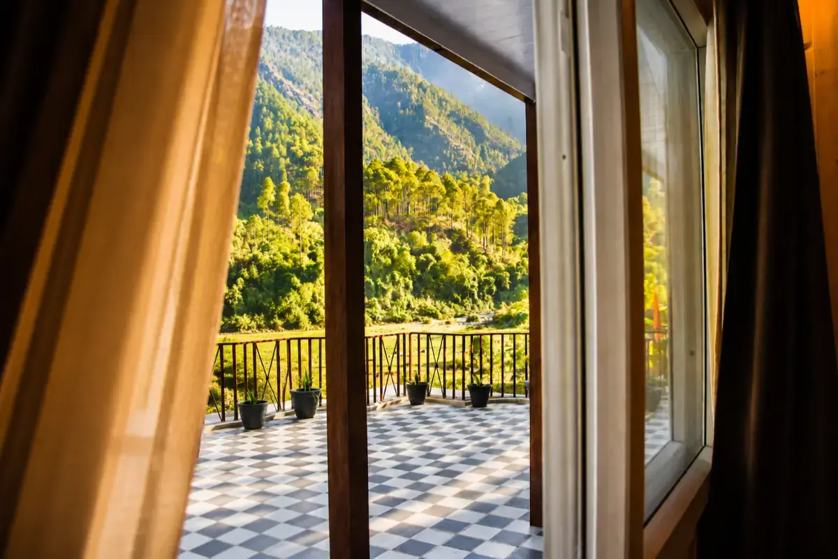 View from Room